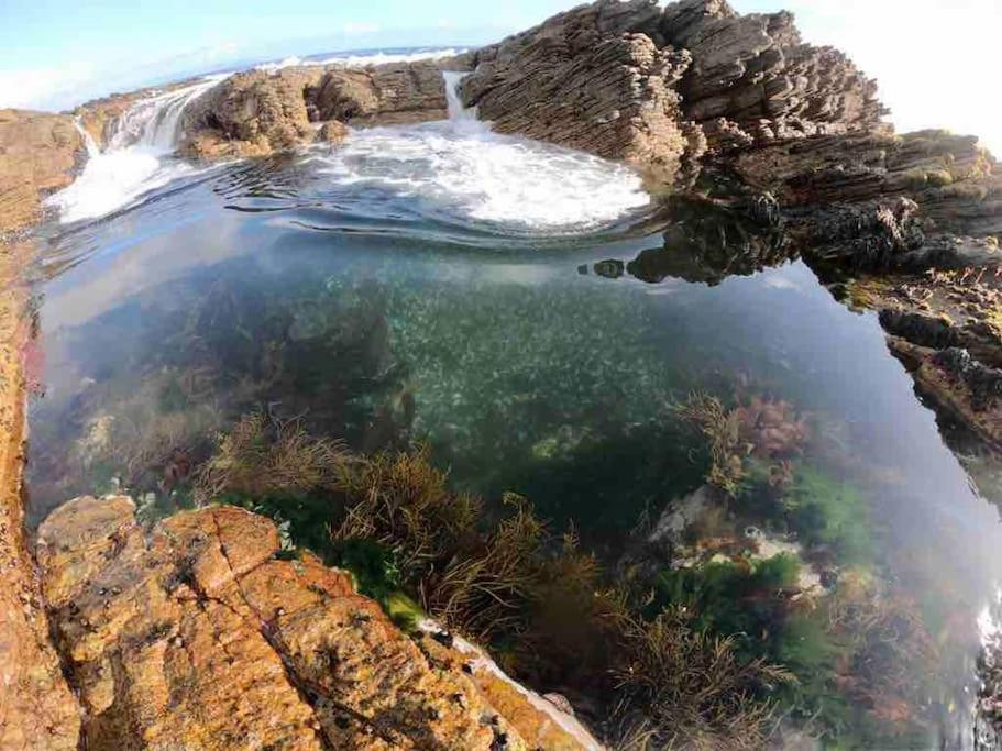 Whales & Waves Villa Hermanus Luaran gambar